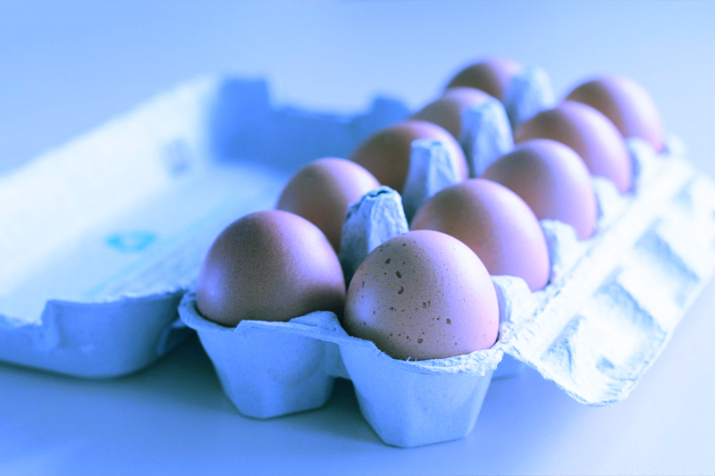 How many eggs should you eat per day?
