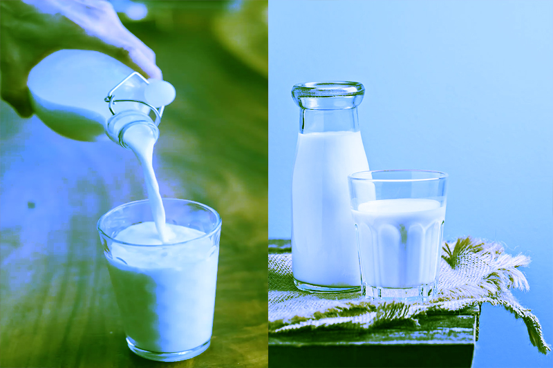 What is the effect of milk on human health?