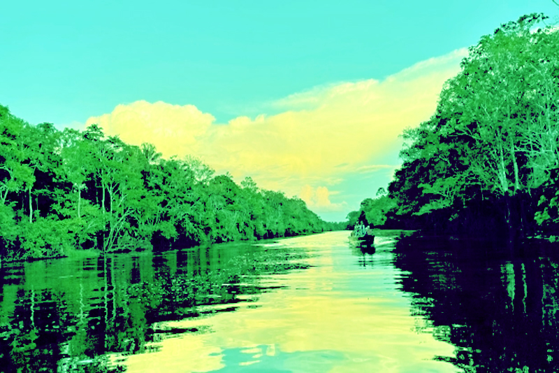 The wonder of the Amazon River